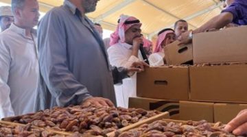 تأخر الحصاد يمدد مهرجان تمور العلا - التقرير