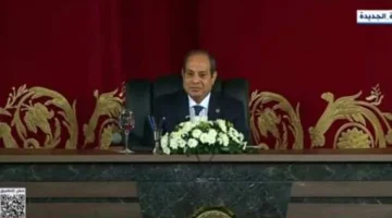 السيسي: سيارات ذوي الهمم كلفتنا 20 مليارا جمارك.. واستفاد منها 12% فقط من مستحقيها - التقرير