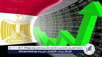 خبير: تحسين مناخ الاستثمار هدفا استراتيجيا بالنسبة لـ الدولة المصرية – التقرير