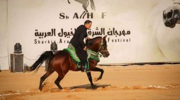 انطلاق مسابقات تراث أدب الخيل في مهرجان الشرقية للخيول العربية - التقرير