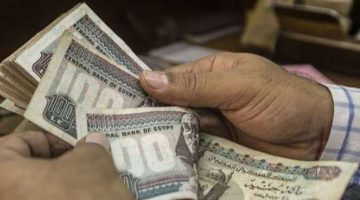 فكرة مشروع مربح برأس مال 20 ألف جنيه ومكسب مضاعف.. «مش هتخسر» - التقرير