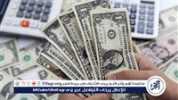 انخفاض طفيف في سعر الدولار مقابل الجنيه المصري - التقرير