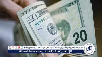 هل يمكن أن يصل سعر الدولار إلى 10 جنيهات؟.. رئيس البنك الأهلي يجيب - التقرير