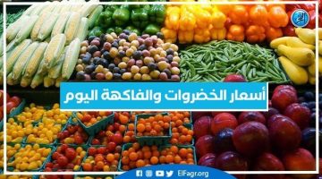 أسعار الخضروات والفاكهة اليوم الأربعاء 25-9-2024 في أسواق محافظة البحيرة - التقرير