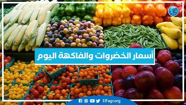 أسعار الخضروات والفاكهة اليوم الأربعاء 25-9-2024 في أسواق محافظة البحيرة – التقرير