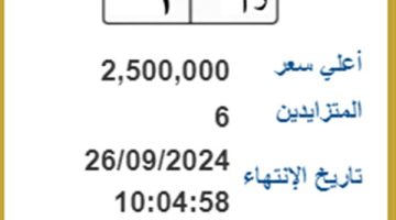 اغتنم الفرصة.. لوحة مرور مميزة بـ2.5 مليون جنيه في مزايدة إلكترونية - التقرير