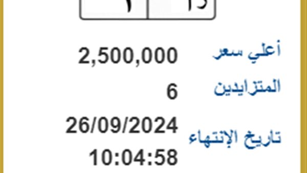 اغتنم الفرصة.. لوحة مرور مميزة بـ2.5 مليون جنيه في مزايدة إلكترونية – التقرير