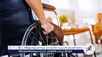 كيف كفل القانون الجديد حقوق واحتياجات الأشخاص ذوي الإعاقة في الحماية الاجتماعية؟ - التقرير