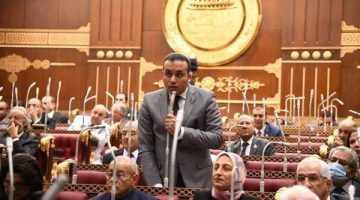 برلماني: مناقشة تحويل الدعم من عيني إلى نقدي هدفه إعلاء مصلحة المواطن - التقرير