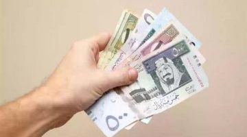 سعر الريال السعودي اليوم الثلاثاء 12 نوفمبر 2024 في مصر مقابل الجنيه المصري - التقرير