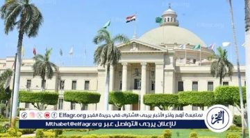 اليوم.. انطلاق العام الجامعى الجديد في 111 جامعة و181 معهدا والتيرم 14 أسبوعا - التقرير