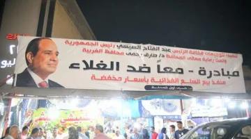 باحث اقتصادي: مصر لديها استراتيجية لتوفير مخزون آمن من السلع الغذائية - التقرير