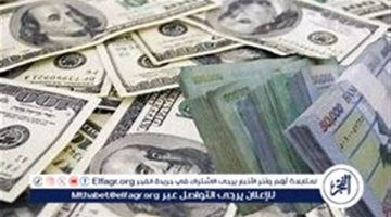 سعر الدرهم الإماراتي والعملات العربية اليوم الأربعاء 25-9-2024 في البنك المركزي المصري - التقرير