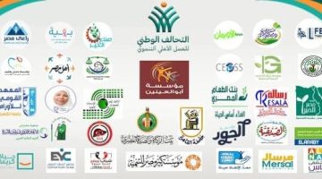 تعرف على إجراءات مراجعة الموازنة الخاصة بالتحالف الوطنى وفقا للقانون - التقرير