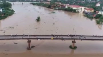 الجارديان: توقعات بتحول إعصار بولاسان لمنخفض استوائي في شنغهاي - تقرير