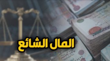 القضاء يتصدى لإشكاليات عقود الإيجار الصادرة من الشريك على الشيوع.. برلماني - تقرير