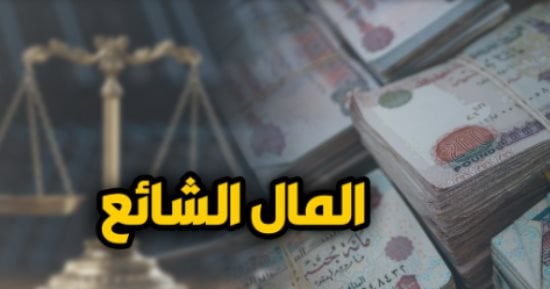 القضاء يتصدى لإشكاليات عقود الإيجار الصادرة من الشريك على الشيوع.. برلماني – تقرير