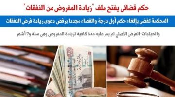 حكم قضائى يفتح إشكاليات ملف "زيادة المفروض من النفقات".. برلماني - التقرير