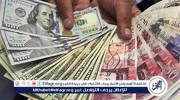 أسعار العملات بالنك المركزي المصري - التقرير