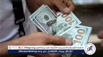 الدولار ينخفض طفيفًا أمام الجنيه المصري في ختام سبتمبر 2024 - التقرير