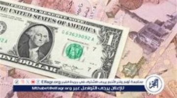 أسعار الدولار والعملات مقابل الجنيه المصري: 26 سبتمبر 2024 - التقرير