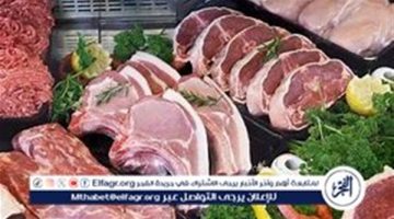 أسعار اللحوم البلدي والكندوز اليوم السبت 21-9-2024 في الأسواق ومحال الجزارة بقنا - تقرير