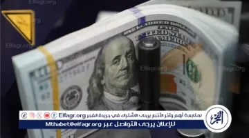 استقرار نسبي في أسعار الدولار مقابل الجنيه المصري: تحليل ومقارنة في البنوك - تقرير