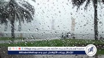 حرارة وأمطار وحبات برد.. ننشر الظواهر الجوية في الخريف 2024 - التقرير