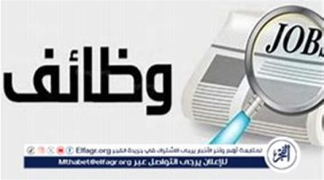 فرص عمل جديدة في مشروع محطة الضبعة النووية: 6200 وظيفة للشباب المصري - تقرير