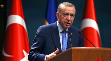 أردوغان: الشعب الفلسطيني يمارس حقه الشرعي في مقاومة الاحتلال الإسرائيلي - التقرير