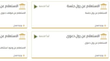 الاستعلام عن قضية برقم القضية 2024 - التقرير