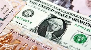 سعر الدولار مقابل الجنيه المصري آخر تحديث اليوم في البنوك - التقرير