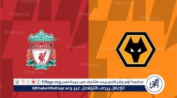 يوتيوب دون تقطيع الآن.. مباراة ليفربول ووولفرهامبتون Liverpool vs Wolverhampton اليوم في الدوري الإنجليزي الممتاز 2024 - التقرير