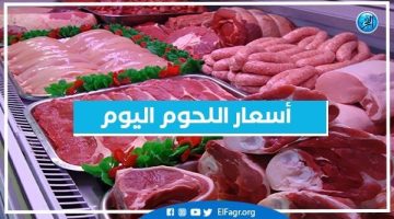 أسعار اللحوم اليوم السبت 21-9-2024 في أسواق محافظة البحيرة - التقرير