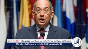 عودة يوسف بطرس غالي.. كيف ستؤثر براءته على المشهد الاقتصادي في مصر؟ - التقرير