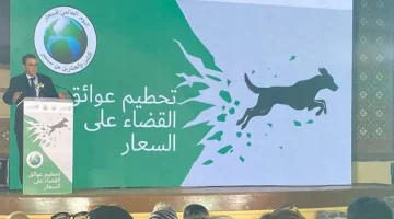 «الصحة»: نجاح حملات التوعية في تراجع أعداد المصابين بداء السعار - التقرير