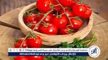 عاجل:- ارتفاع أسعار الطماطم.. الأسباب والتوقعات المستقبلية لانخفاضها - التقرير