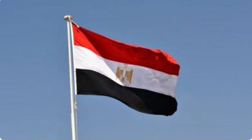 مصر تدين الهجوم الإرهابي في مقديشو - التقرير