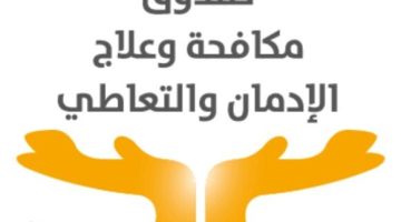 تدريب ٢٠٠ قيادة تنفيذية وتطوعية بالأقصر ضمن مبادرة موجهي الرأي للوقاية من تعاطي المخدرات - التقرير