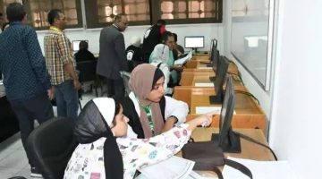 نتيجة تنسيق جامعة الأزهر 2024.. 95.08% للطب و89.54% للهندسة - التقرير