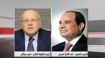 الرئيس السيسي يشدد على ضرورة الوقف الفوري والدائم لإطلاق النار بـ لبنان وغزة - التقرير