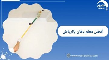 أفضل 5 دهانات للجدران الداخلية للمنازل - التقرير