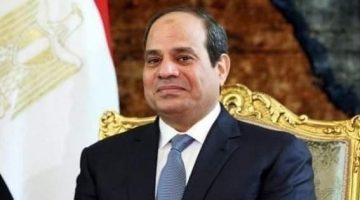 الرئيس السيسي يوجه بمواصلة وتكثيف العمل على تعزيز الأداء التنموي والسياحي لمحافظة جنوب سيناء - التقرير