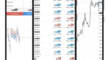 كيف تختار نوع حساب التداول المناسب لك؟ - التقرير