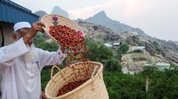 إرث تاريخي وارتباط بالقهوة - جريدة الوطن السعودية - التقرير