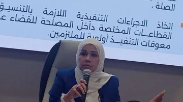 «الضرائب»: التسهيلات الجديدة تستهدف جميع المشروعات وإزالة التحديات - التقرير