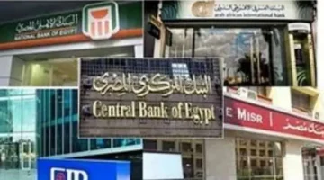 شعبة المصدرين: دور بارز للبنوك المصرية في دعم التصدير للسوق الأفريقية - التقرير