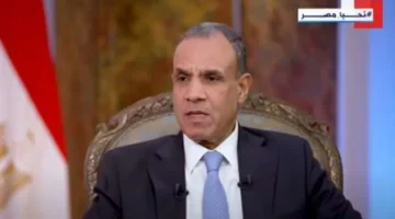 وزير الخارجية: مصر حذرت من اتساع رقعة الصراع.. وتحركت سريعا لوقف النار بغزة - التقرير