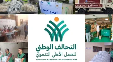 انطلاق شراكة استراتيجية بين التحالف الوطني وموانئ دبي العالمية - التقرير