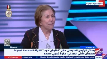 فريدة الشوباشي: مصر قوة إقليمية تدعو للبناء والتقدم وليس القتل والتدمير - التقرير